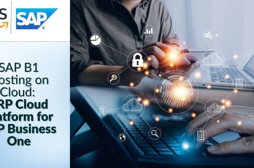 sap-b1-hosting-on-cloud-erp-cloud-platform-for-sap-business-one