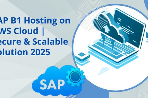 sap-b1-hosting-on-aws-cloud-1
