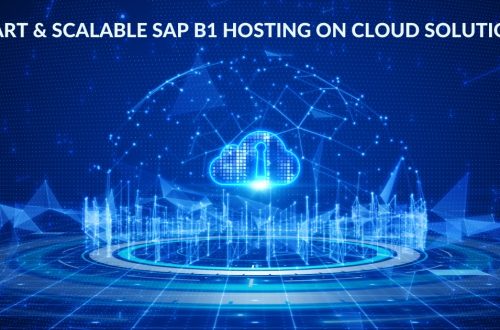 fast-secure-sap-b1-hosting-on-cloud-for-businesses
